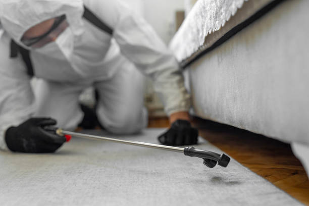 Professional Ant Control technician working in Lee County County, NC